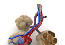 COPD staat nooit alleen