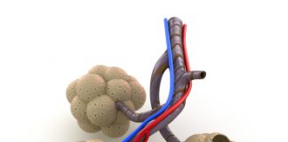 COPD staat nooit alleen