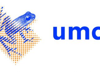 Patiënten met lage rugpijn gebaat bij vertrouwen in herstel