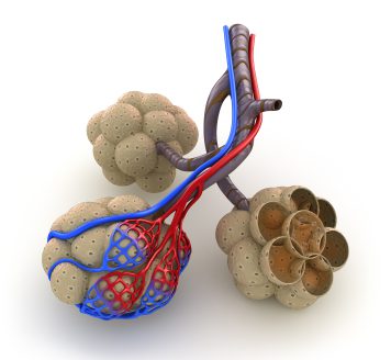 Preventieconsult COPD bij de huisarts leidt tot meer vroegtijdige diagnoses