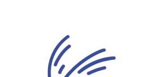 Erfelijke oorzaak voor osteoporose en botfracturen gevonden