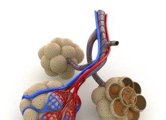 Bewegingsprogramma maakt COPD-patiënt fysiek actiever