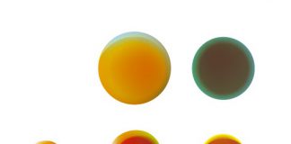 KNGF: “slechts 8 geschikte polissen voor fysiotherapie”