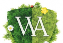 Motivational Interviewing