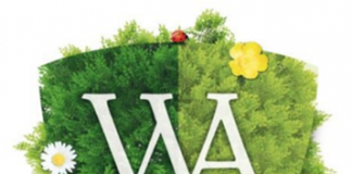 Motivational Interviewing