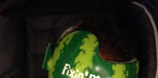 Proefschriften vallen in de prijzen op wetenschapsdag fysiotherapie Foto van https://www.facebook.com/pages/Lazardo-Art-and-the-art-of-baby-helmet-painting/207828829280728