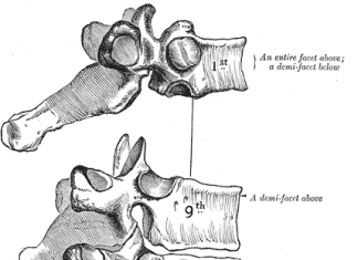 Fysiotherapie net zo effectief als een OK bij lumbale stenose