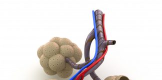 Longrevalidatie effectief bij ernstige vorm van astma