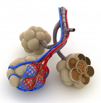 COPD-patiënten rapporteren vaak ook andere ziekten