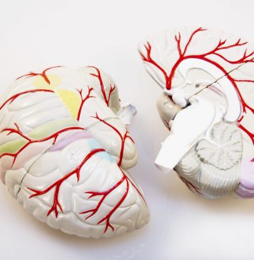 Zenuwstimulatie voor beter aanleren complexe bewegingen hersenen