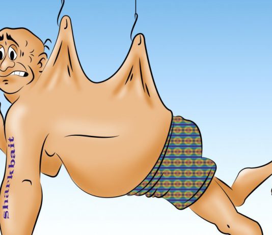 Patiënt is dupe van beperkende voorwaarden zorgverzekeraars CareToon door Bert Mutsaers