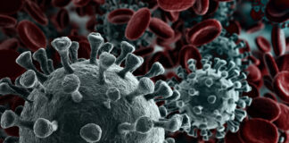 Fysiotherapiewebsite schiet fysiotherapeuten te hulp met online intake #spon