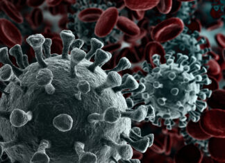 Onderzoek naar effecten en kosten van paramedische herstelzorg na COVID-19