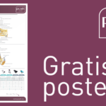 11_FysioNieuws_gratisposter_1200x627_v3_C