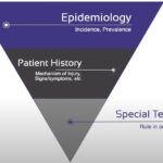 The-diagnostic-process