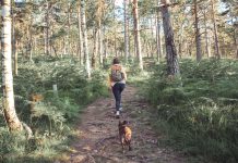 Nederlanders bezuinigen op de zorg