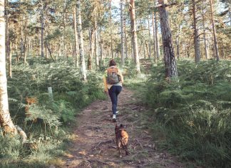 Nederlanders bezuinigen op de zorg