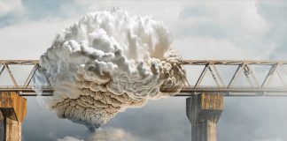 Jubileumcongres: 50 jaar toegepaste neurowetenschappen in Nederland Het brein in onze wereld